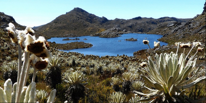 STIMULATED DIVESTMENT FROM MINING IN A PROTECTED WETLAND