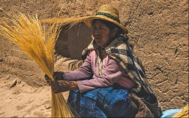 Bolivian woman in traditional dress hold totora reeds in hands